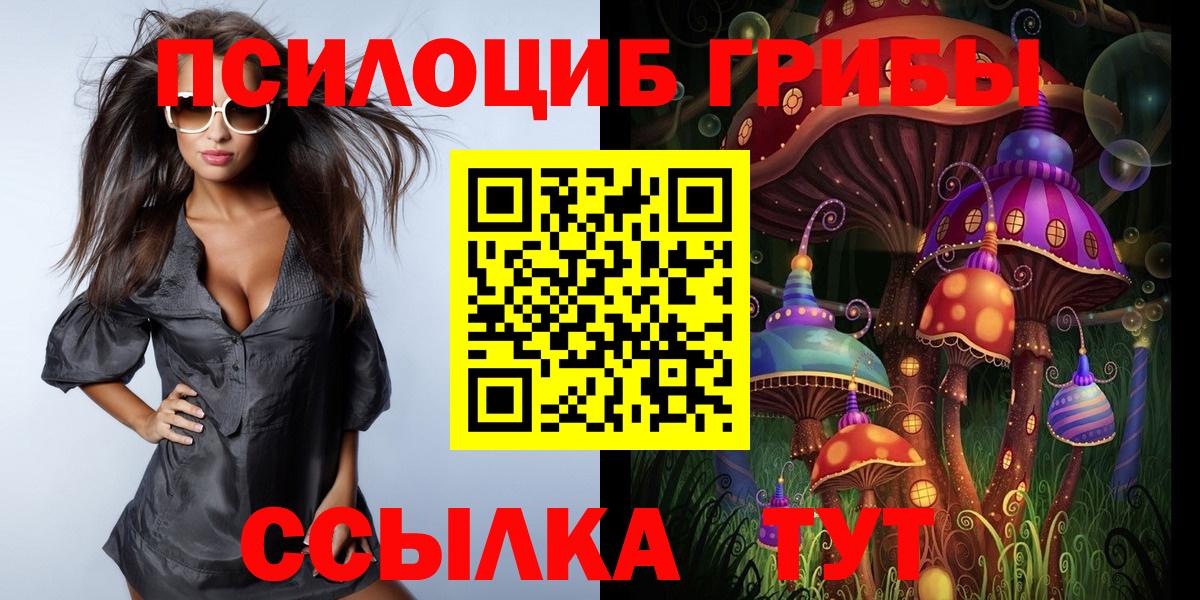 Галлюциногенные грибы Magic Shrooms  купить   Энгельс  Вход с VPN 
