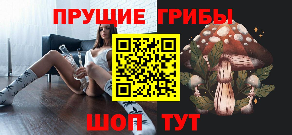 Псилоцибиновые грибы GOLDEN TEACHER Энгельс